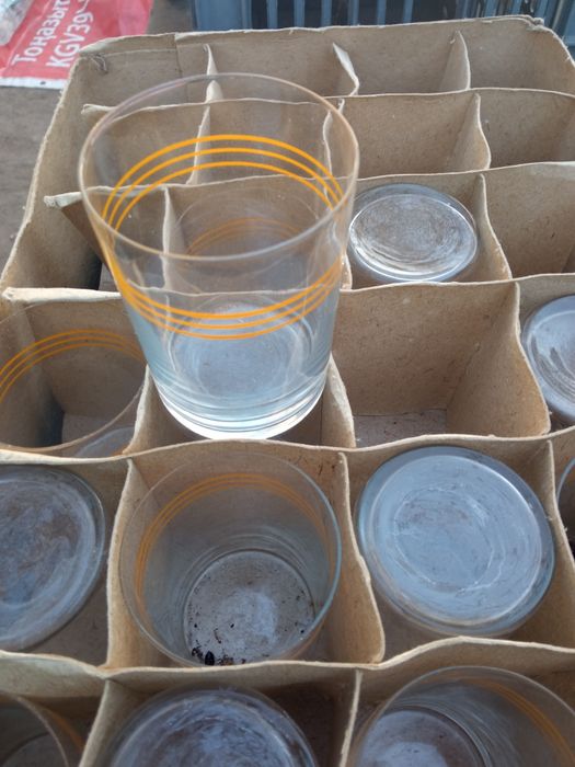 Стаканы новые для столовой