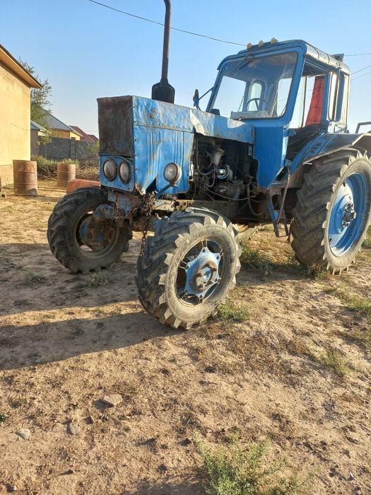 На хаду. Сокасы бар