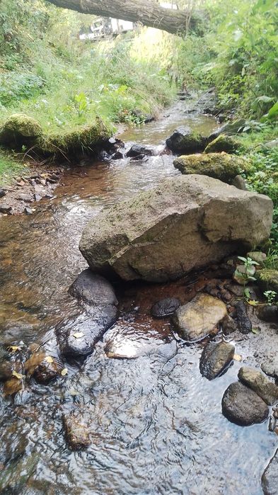 Un vis la marginea paraului