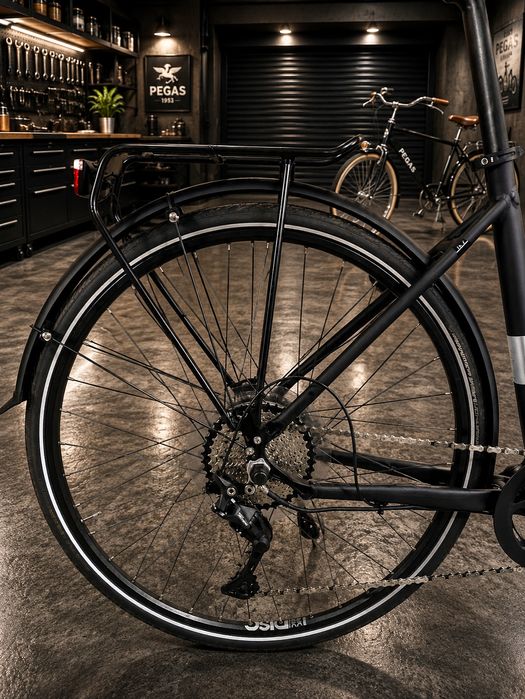 Bicicleta electrica Rabeneick TS-E