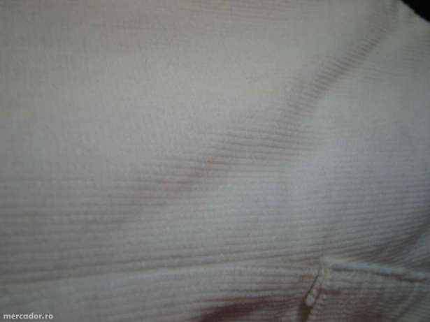 taior ivoire masura M