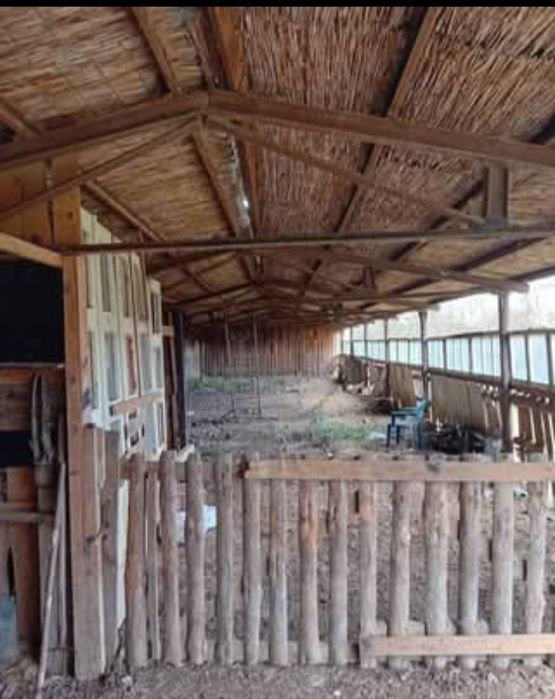 Продава се Промишлена сграда в с. Равнище, Област София-област - 740 кв.м за 53 €/кв.м - Снимка #3