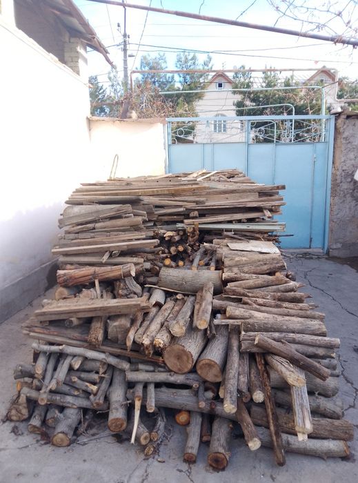 Yoqishga tayyor oʻtin !!!