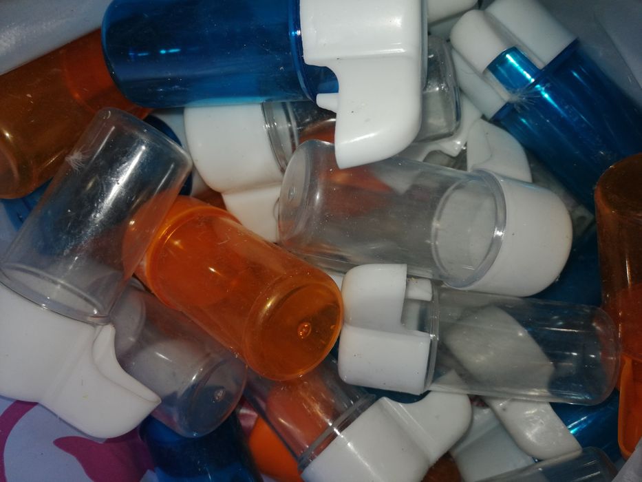 Продам волнистых попугаев