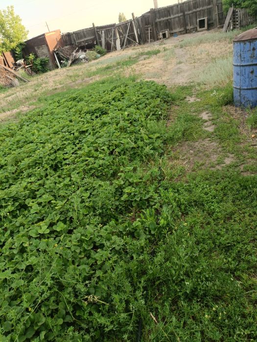 Продам большой дом