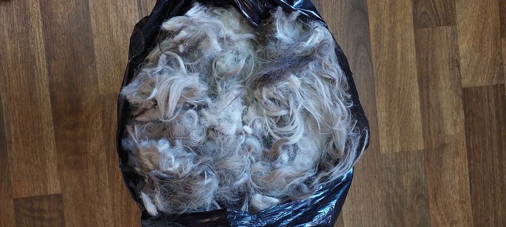 Шерсть собачья ( Бобтей)л