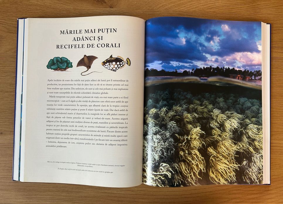 Peștii și creaturile marine – Enciclopedie ilustrată a lumii subacvatice (Editura Aquila)