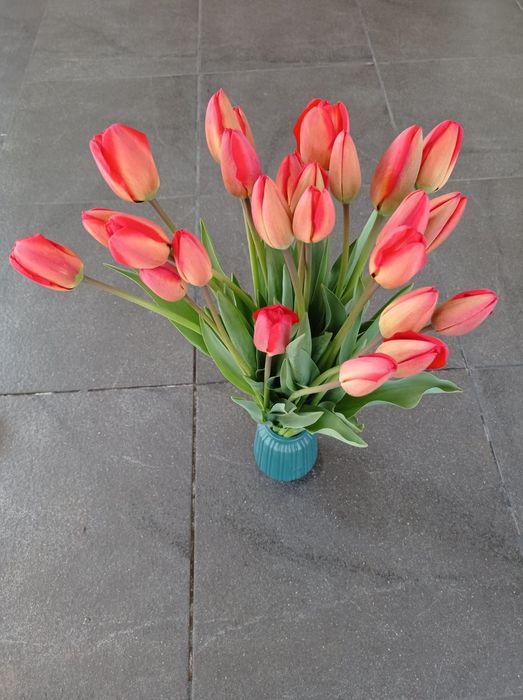 Тюльпаны-это весна в каждом лепестке