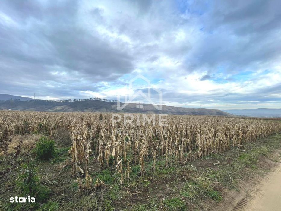 Teren extravilan | 3400 mp | Paclisa | Alba Iulia