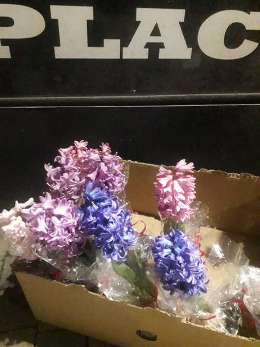 Цветя  за предстоящия празник