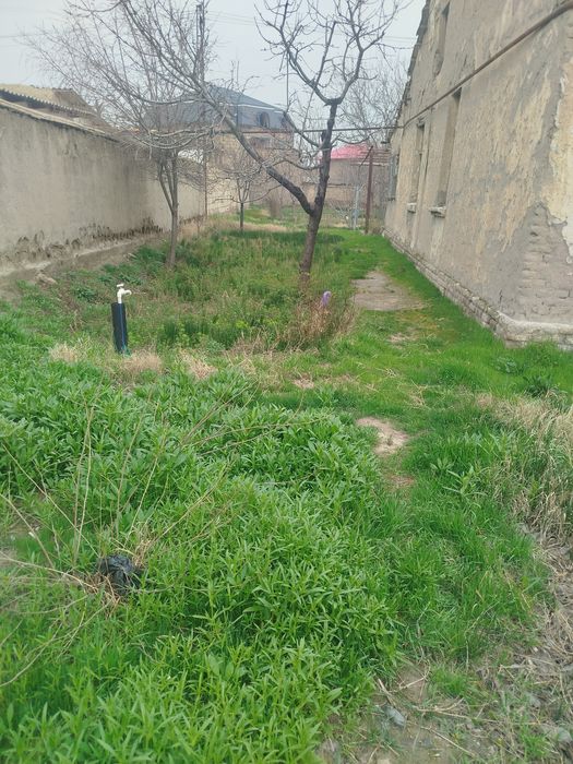 Самарканд Паст даргомда ховли сотилади