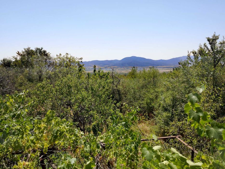 Продава се Къща в с. Бегунци, Област Пловдив - 45 кв.м за 816 €/кв.м - Снимка #11