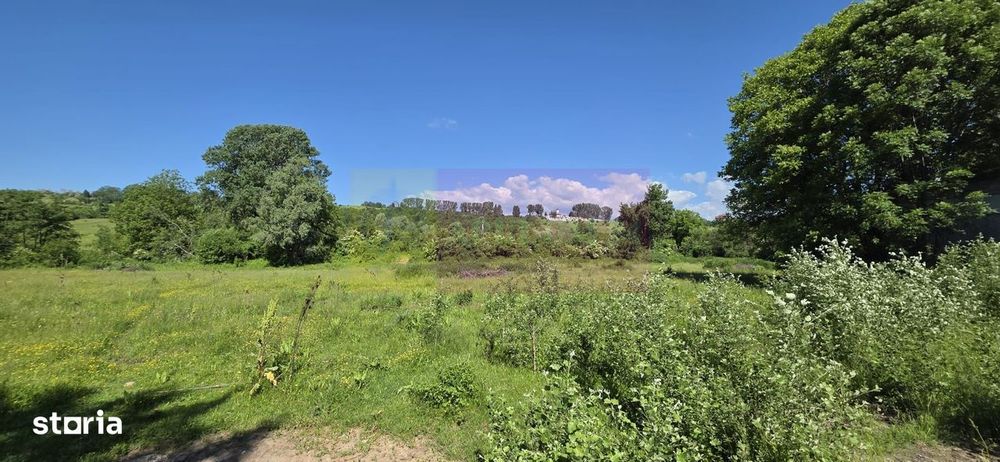 Teren intravila 40.679 mp in Campina, dezvoltare imobiliara