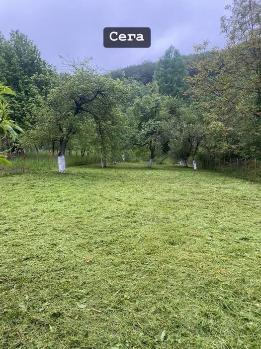 Косене и поддръжка на имоти