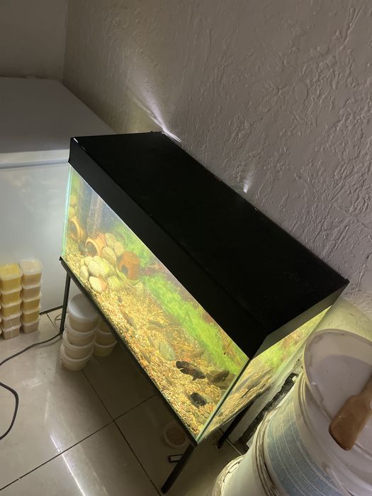 Аквариум 140 литров