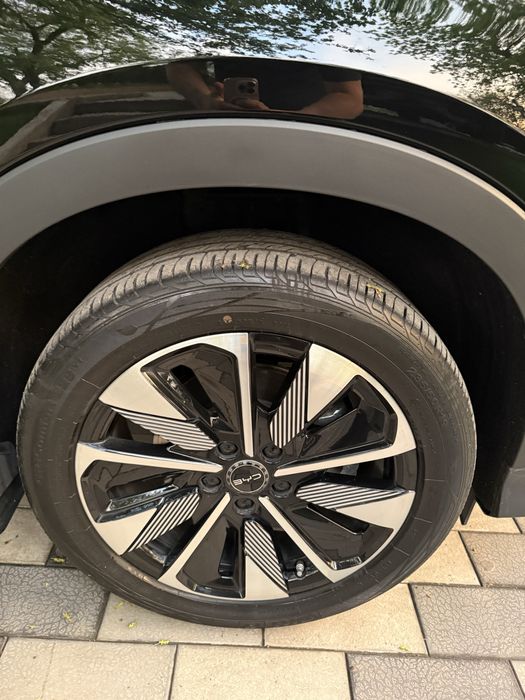 BYD Champion Smart 2025 yil