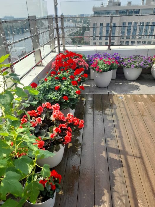 Садовник (ца) с опытом