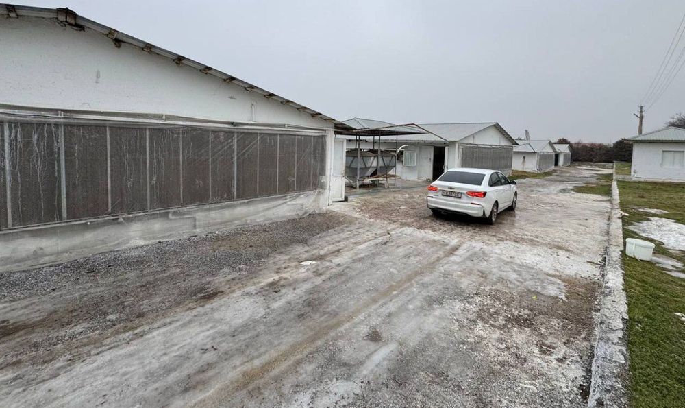 Продаётся птицеферма