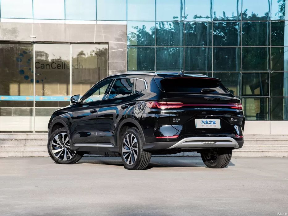 Byd chempion gibrid 2024