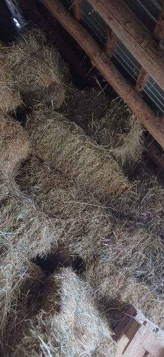 Vând baloți de fân