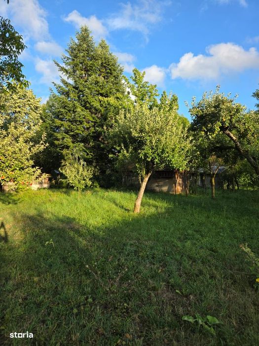 Teren 2500 Mp – Potențial Business / Dezvoltare – Breaza