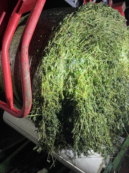 Vând baloti infoliati