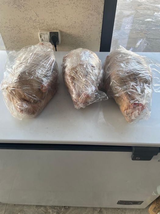 Мясо гуся, қазы еті