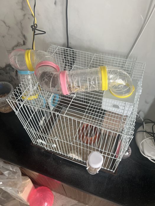 Продаю хомяка с домиком