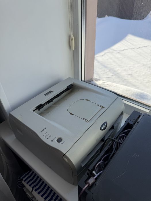 Два принтера Epson