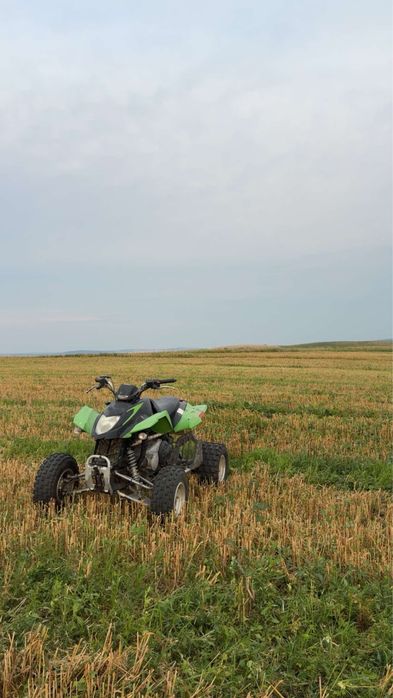 atv artic  de 300 cc