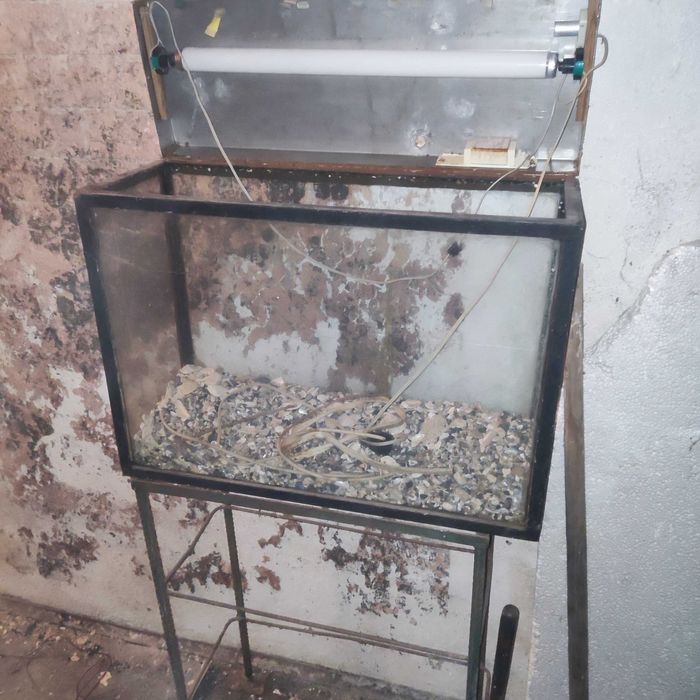 Голям аквариум със стойка