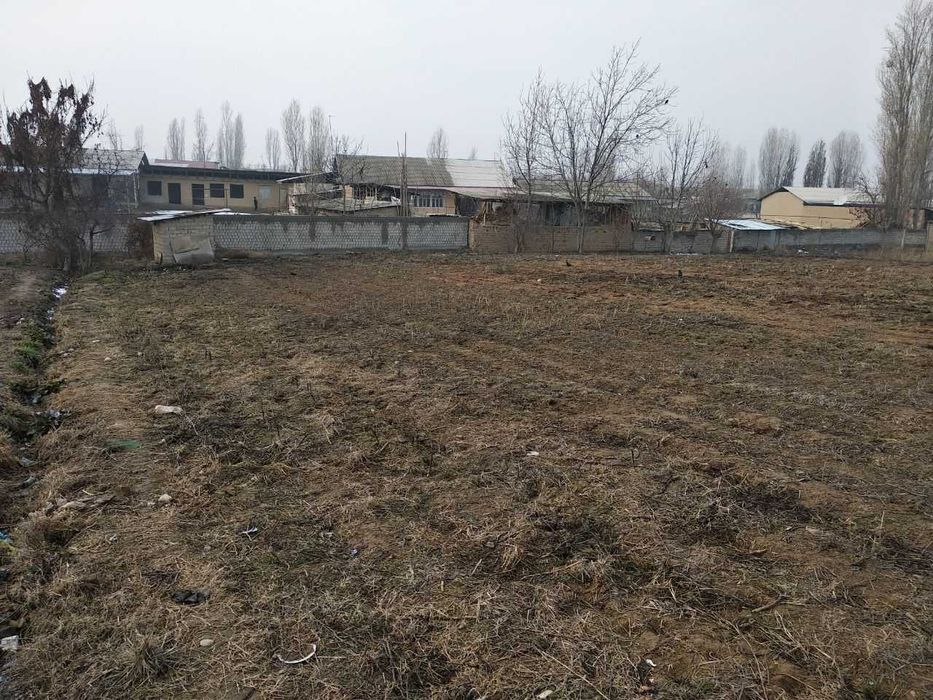 Янгийўл туманида арзон ҳовли сотилади. 18 000$. 6 cотих 1 сотих захват