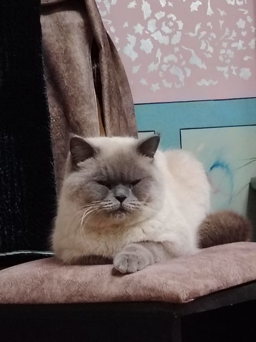 Вязка,Зот олиш,сотилмайди.