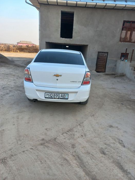 cobalt midnight 2025