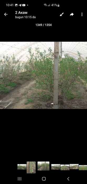 теплиса сотилади энига 12 метр узунлиги 38 метр 1сотиги 450000 минг