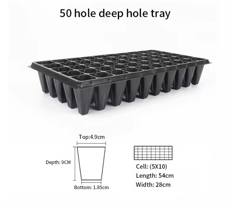 Клубничная рассада