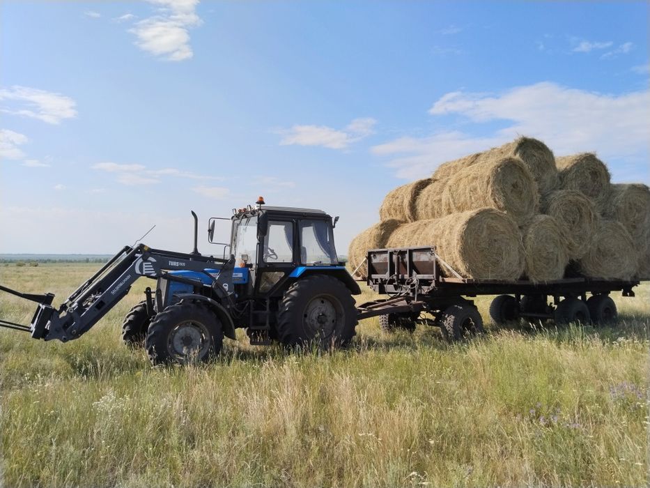 Продам сено в рулонах