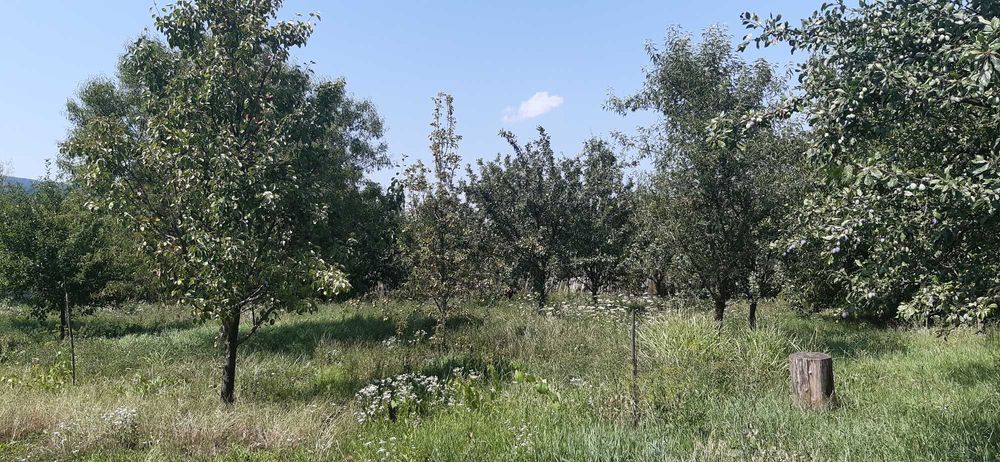 Parcela 946mp (teren total 1769mp), Str. Grigore Vieru, Alba Iulia