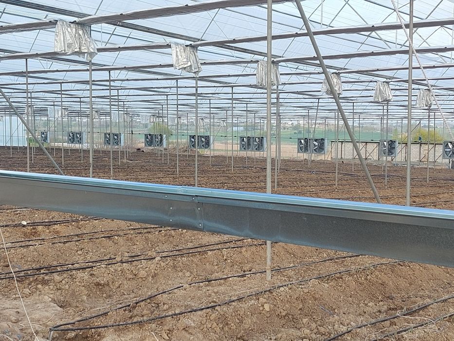 Охлаждение для теплиц