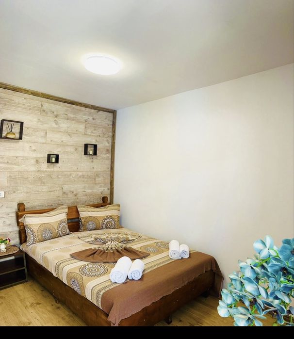 Vila David Costinesti