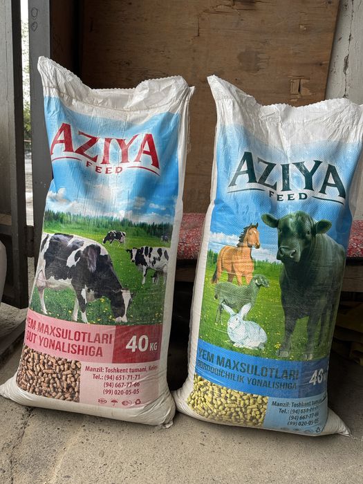 Aziyafeed bordoqchilik va sut yonalishiga novvos sigir va qoylarga yem