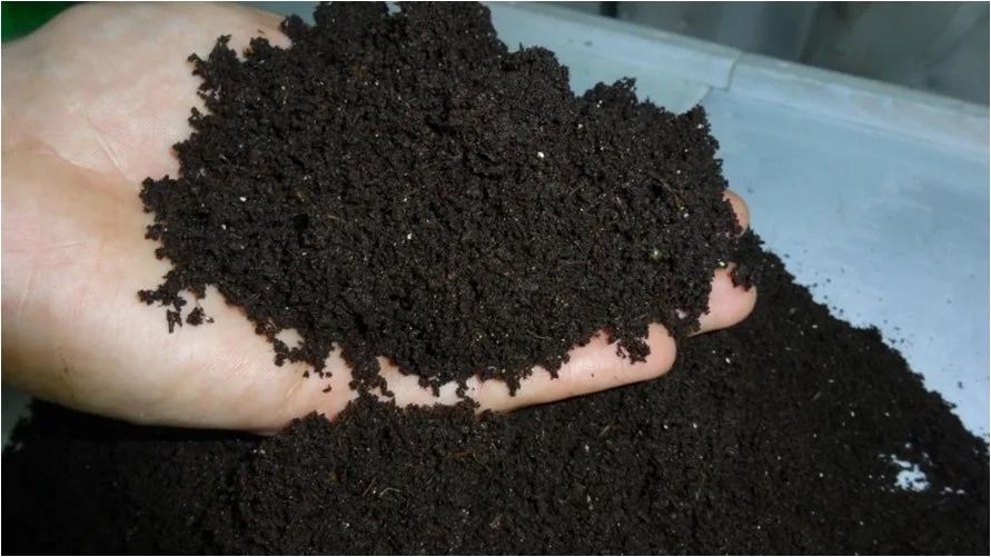 Biogumos maxsuloti bor ‼️Narxini kelishamiz  Koproq olganga skidka