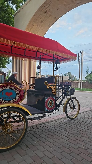 Рикша електро китай 48 вольт