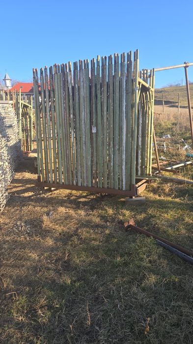 Vand diferite  modele de schela și popi