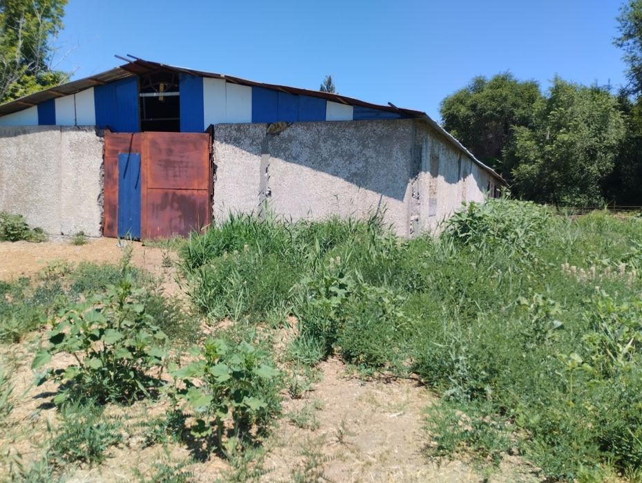 Жевотноводческая база