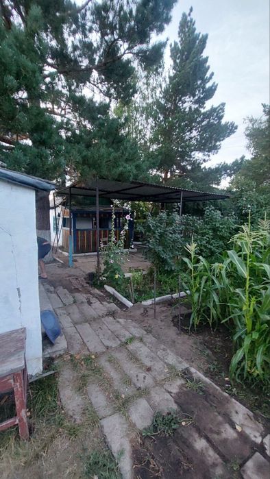 Продам дачу в « Цветущем саду»