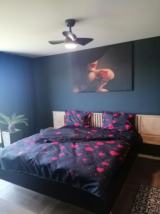 de vanzare  casa parter viile satu mare