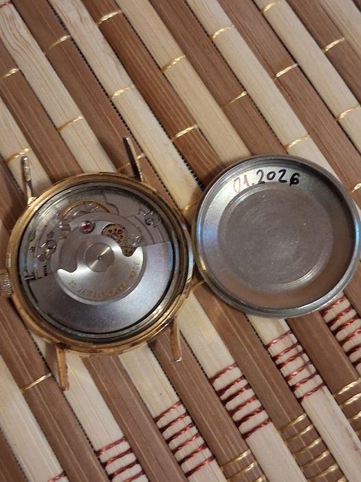 Vînd Fludo,Luga,Delbana