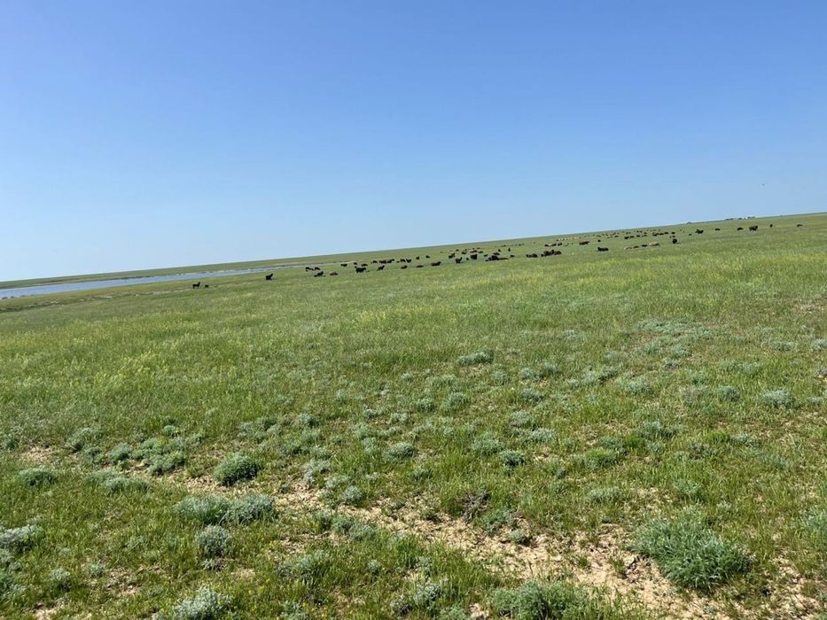 Жеке шаруа кожалыгы сатылады