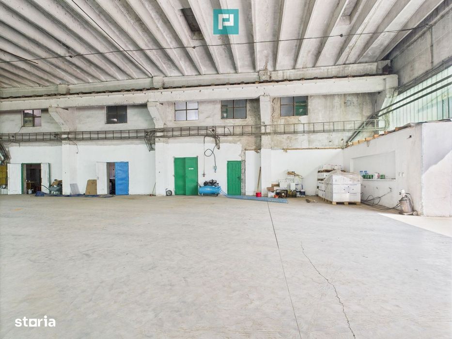 Complex industrial cu hale și teren  în Orțișoara